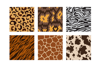 Animal skins. Pattern of african jungle animals leopard tiger zebra gi