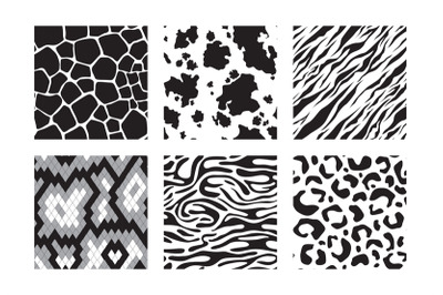 Animals skins patterns. Tiger giraffe zebra leopard vector seamless ba