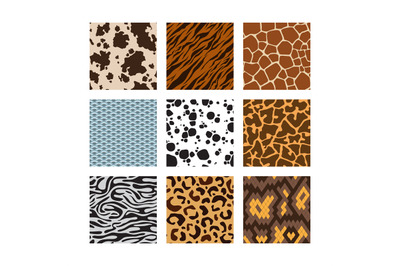 Animals skin pattern. Zoo seamless backgrounds collection of zebra tig