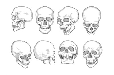 Skulls. Human anatomy bones head skull mouth and eyes vector hand draw