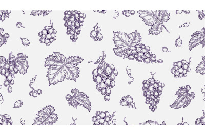 Grape pattern. Vine seamless texture, plants and leaves. Sketch vineya