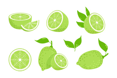 Lime fruits. Citrus slices, isolated green lemons. Fresh vitamin c vec