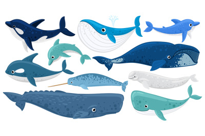 Cartoon underwater mammals, dolphin, beluga whale, orca, sperm whale.