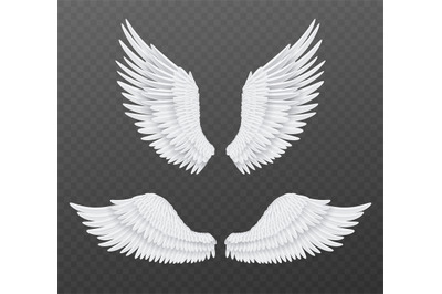 Realistic wings. Beautiful isolated angel wings&2C; pair of 3d birds whit