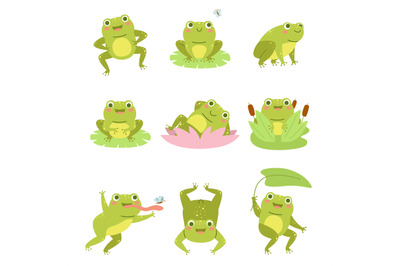 Cute frogs. Lotus flowers and funny cartoon toad character, different