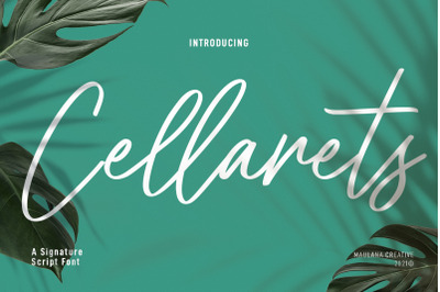 Cellarets Signature Script Font