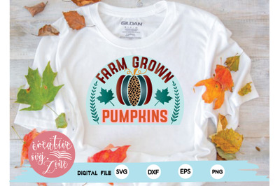 farm grown pumpkins