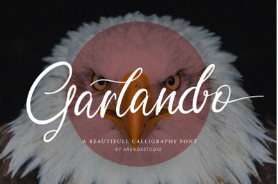 Garlando - Calligraphy Font
