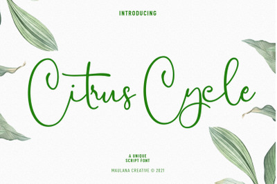 Citrus Cycle Script Font