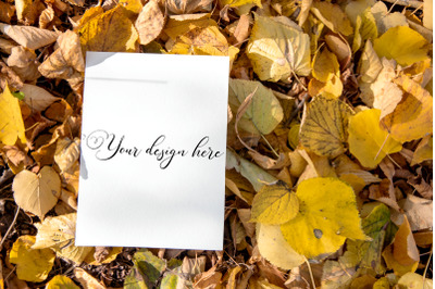 5x7 Autumn Card Mockup. Fall Mockup. Greeting card PSD mockup. Invitat