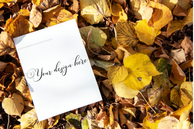 5x7 Autumn Card Mockup. Fall Mockup. Greeting card PSD mockup. Invitat