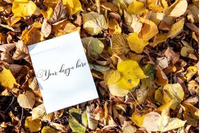 5x7 Autumn Card Mockup. Fall Mockup. Greeting card PSD mockup. Invitat