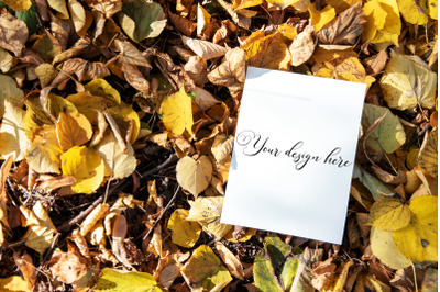 5x7 Autumn Card Mockup. Fall Mockup. Greeting card PSD mockup. Invitat