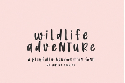 Wildlife Adventure Font (Rough Fonts, Instagram Fonts, Procreate Fonts