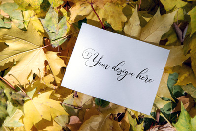 7x5 Autumn Card Mockup. Fall Mockup. Greeting card PSD mockup. Invitat