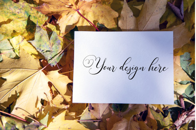 7x5 Autumn Card Mockup. Fall Mockup. Greeting card PSD mockup. Invitat