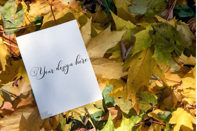 5x7 Autumn Card Mockup. Fall Mockup. Greeting card PSD mockup. Invitat