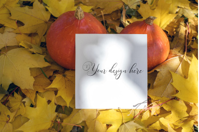 5x5 Autumn Card Mockup. Fall Mockup. Greeting card PSD mockup. Invitat