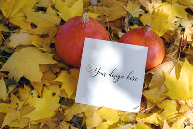 5x5 Autumn Card Mockup. Fall Mockup. Greeting card PSD mockup. Invitat