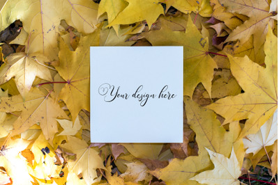 5x5 Autumn Card Mockup. Fall Mockup. Greeting card PSD mockup. Invitat