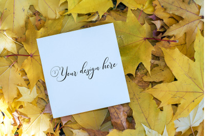 5x5 Autumn Card Mockup. Fall Mockup. Greeting card PSD mockup. Invitat