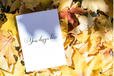 5x7 Autumn Card Mockup. Fall Mockup. Greeting card PSD mockup. Invitat