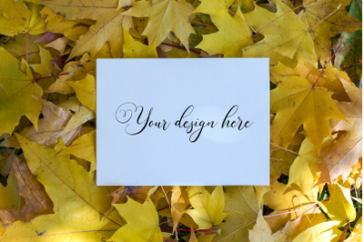 7x5&amp;nbsp;Autumn Card Mockup. Fall Mockup. Greeting card PSD mockup. Invitat