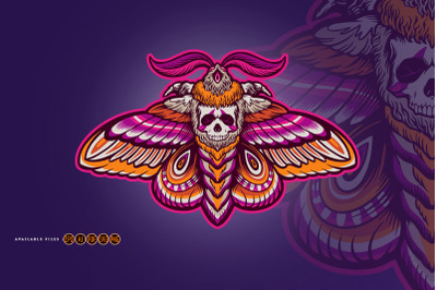 Skull Moth Dead Head Illustrations