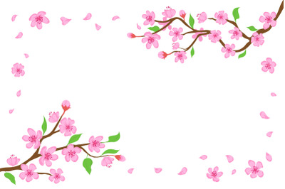 Cartoon japanese cherry blossom and falling petals background. Sakura