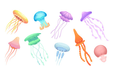 Jellyfish. Underwater wild animals beautiful colored group of jellyfis