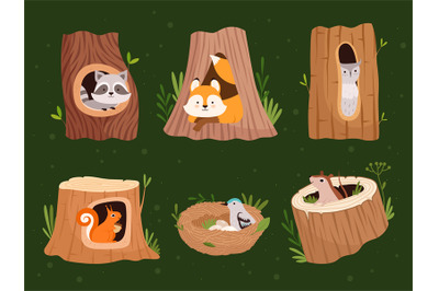 Animals hollow. Wood forest trees with holes for wild animals houses v