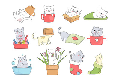 Cute kitty. Funny cats in cups sleeping playing jumping kitty hide in