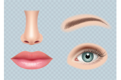 Face parts realistic. Human body eyes ear nose and mouth vector pictur