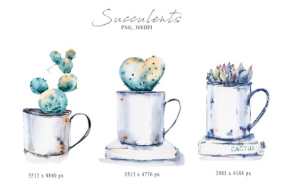 Watercolor potted succulent sublimation / cactus clipart