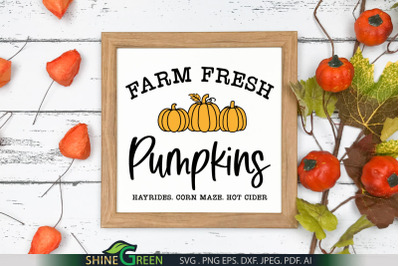 Fresh Farm Pumpkins SVG - Fall Farmhouse Sign SVG