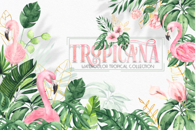 Watercolor tropical collection