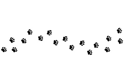 Animal steps trail. Pets foot prints&2C; cat or dog road vector illustrat