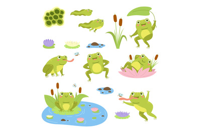 Cartoon frogs. Cute water reptiles, funny amphibians in different pose