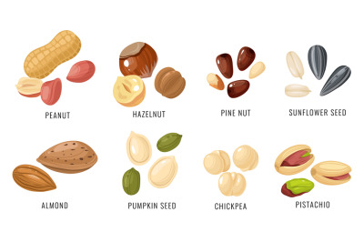 Nuts and seeds. Various nut&2C; bean and seed in shell and peeled&2C; peanut