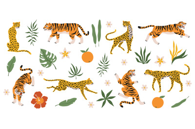 Tigers&2C; leopards and jaguars with tropical plants. Wild animals&2C; palm