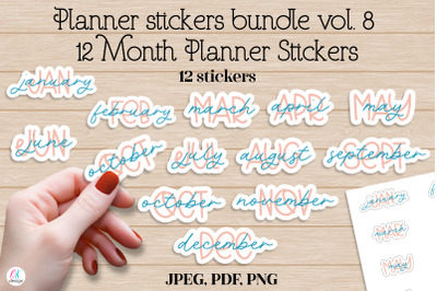 Planner stickers bundle vol. 8. Months Planner Stickers. 12 Month Plan
