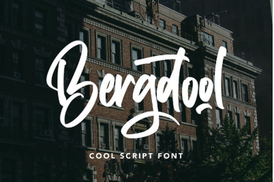 Bergdool - Cool Script Font