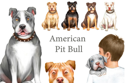 American Pit Bull Terrier clipart. Dog clipart, digital print