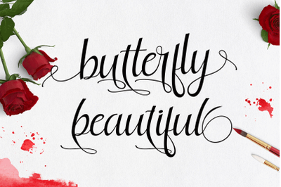 butterfly beautiful