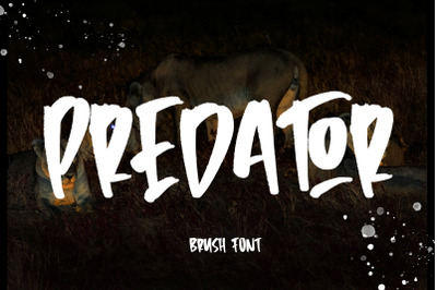 Predator - Brush Font