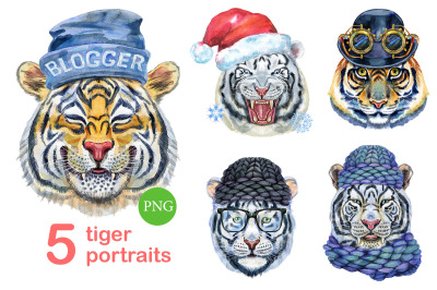 Cute watercolor tigers. Part 3
