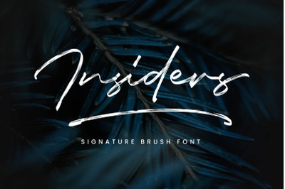 Insiders - Signature Brush