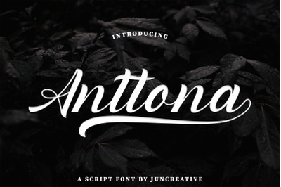 Anttona Bold Script