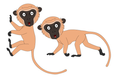 cute vervet monkey  animal cartoon