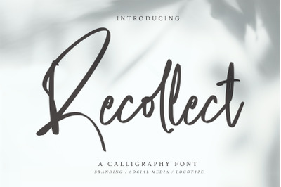 Recollect - Calligraphy Font